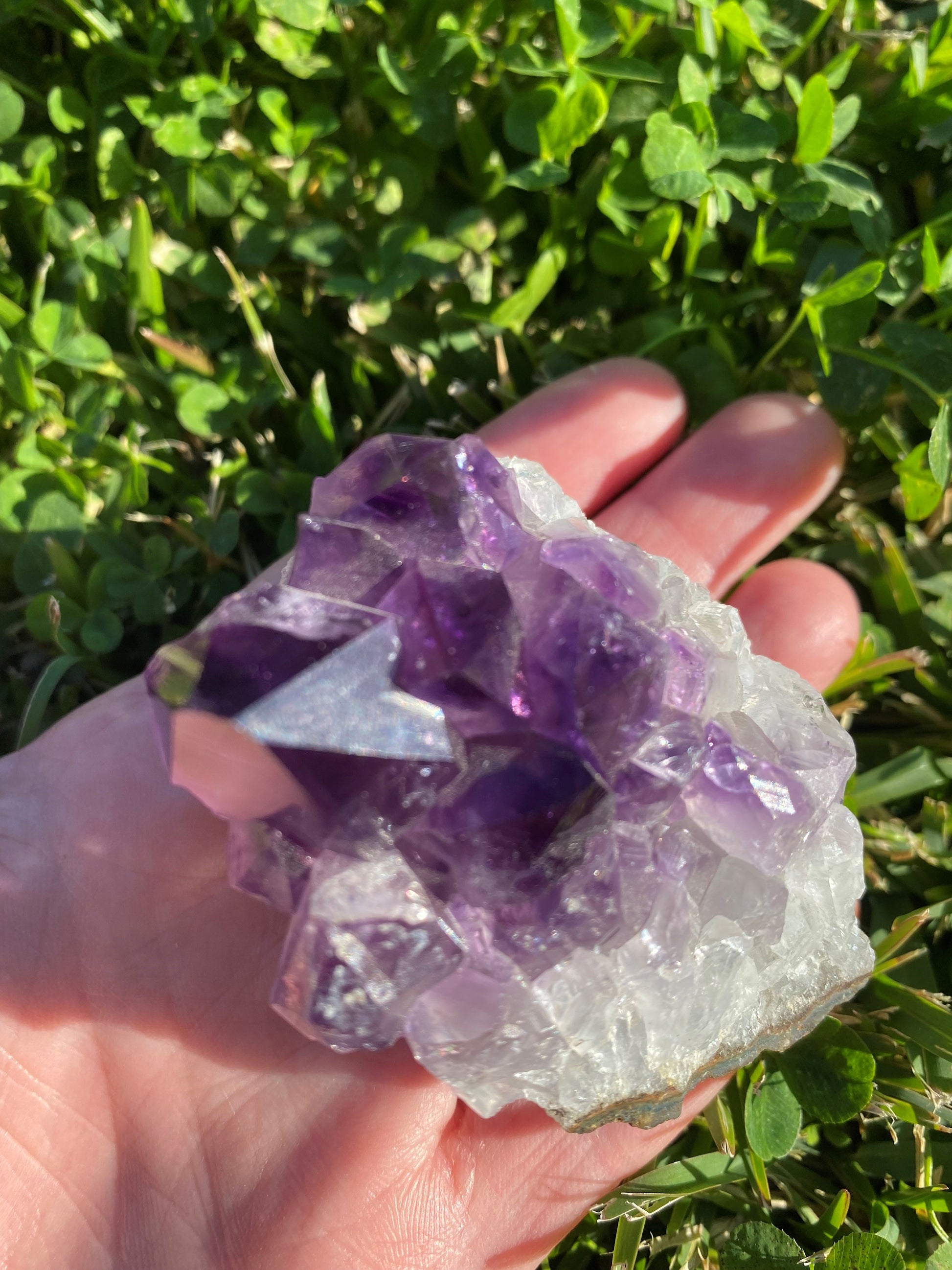 Amethyst cluster clear quartz crystal gemstone geode healing crystal business shop Ryde Chatswood Sydney Australia free gift Feng Shui