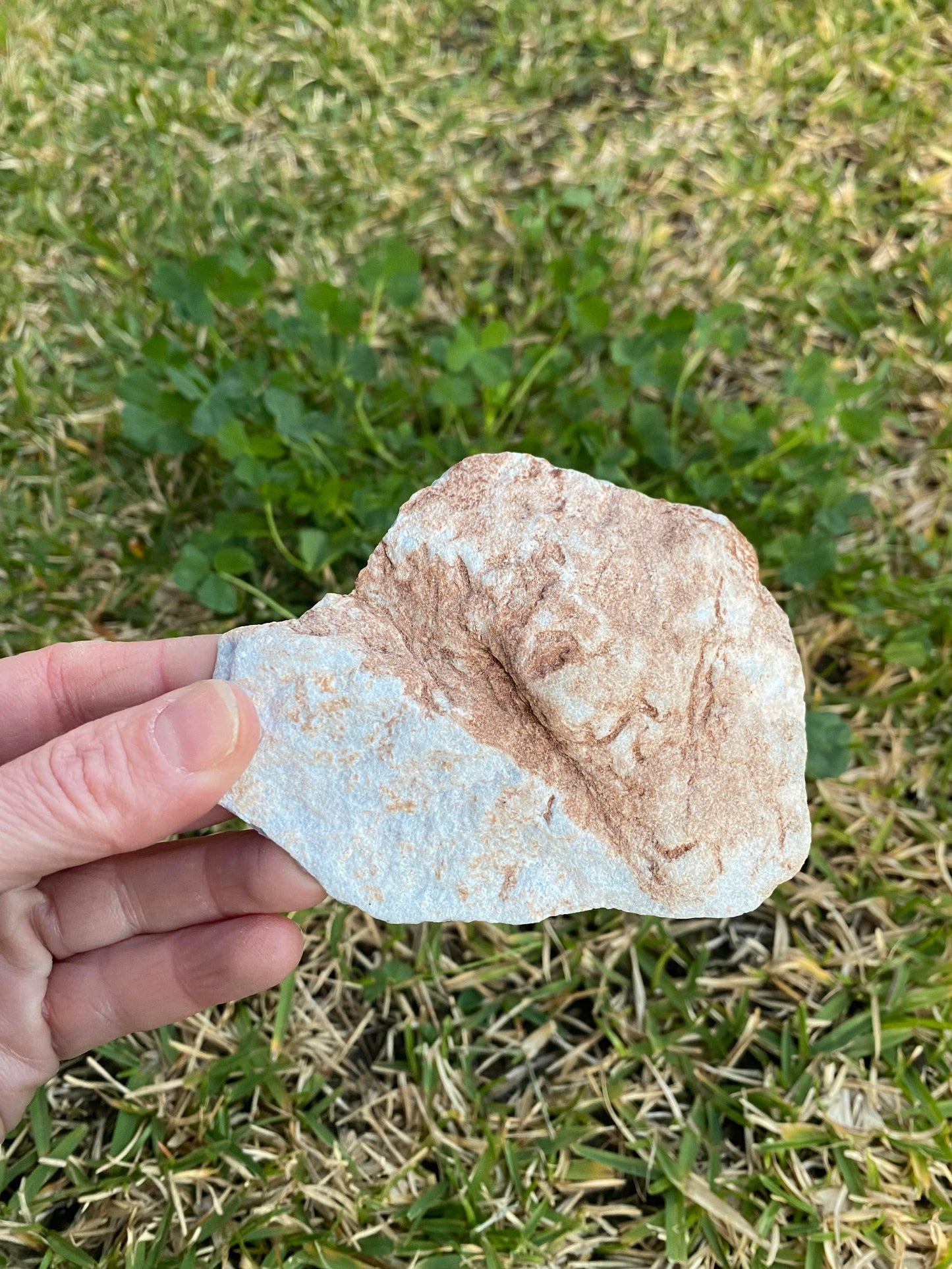 Angelite polished raw rock slab 120 grams light blue specimen mineral selenite crystal shop crystal business Ryde Sydney Australia