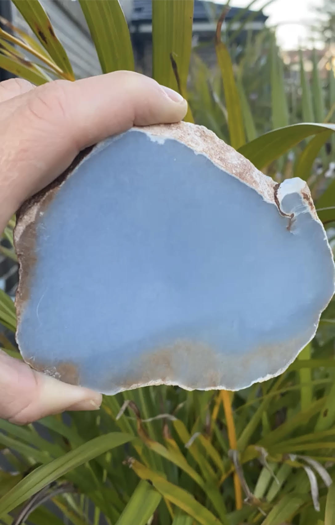 Angelite polished raw rock slab 320 grams light blue specimen mineral selenite crystal shop crystal business Ryde Sydney Australia