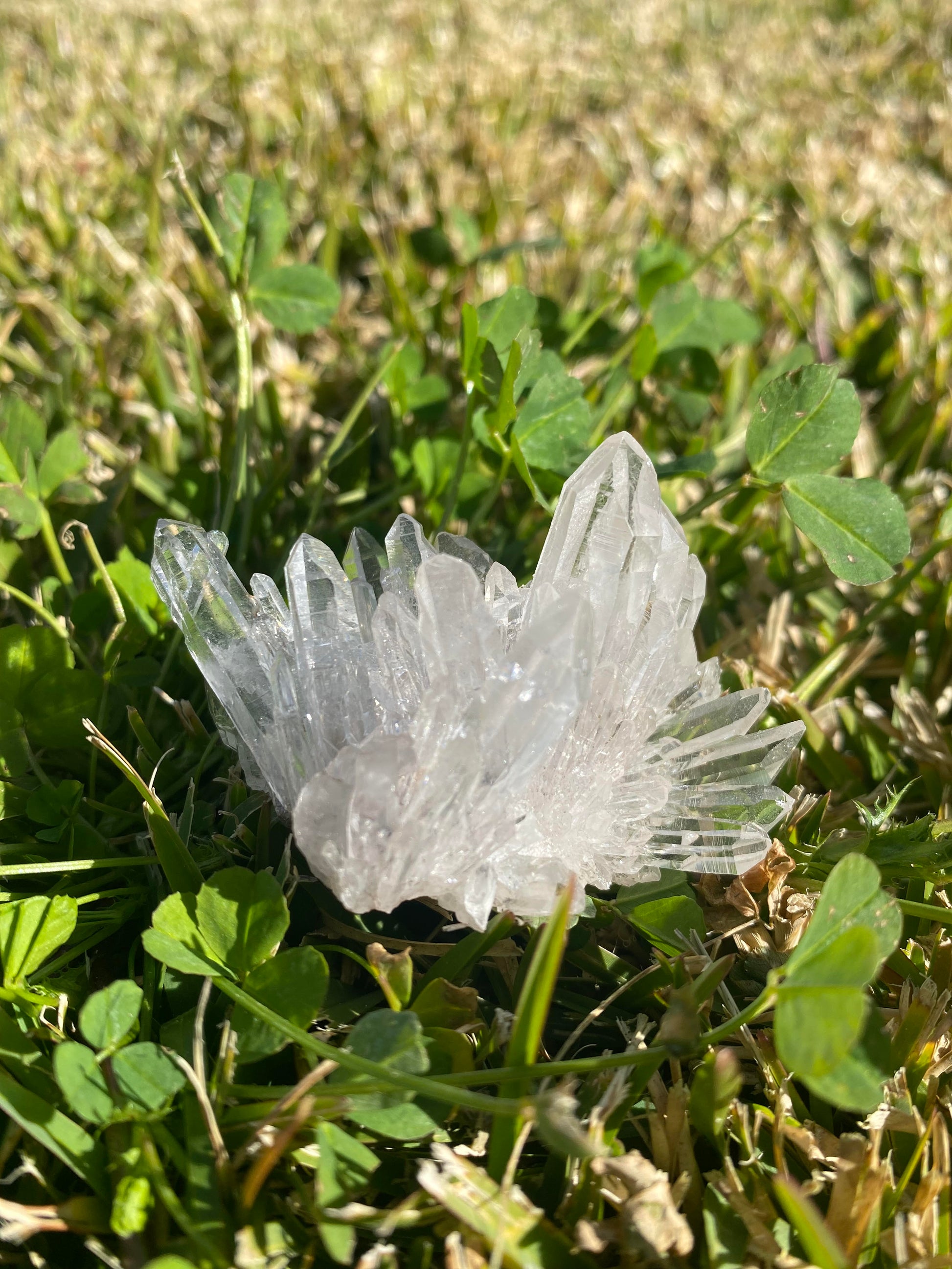 Clear quartz cluster crystal raw Small 45 grams rock specimen mineral Feng Shui crystal shop business Ryde Sydney Australia healing stone