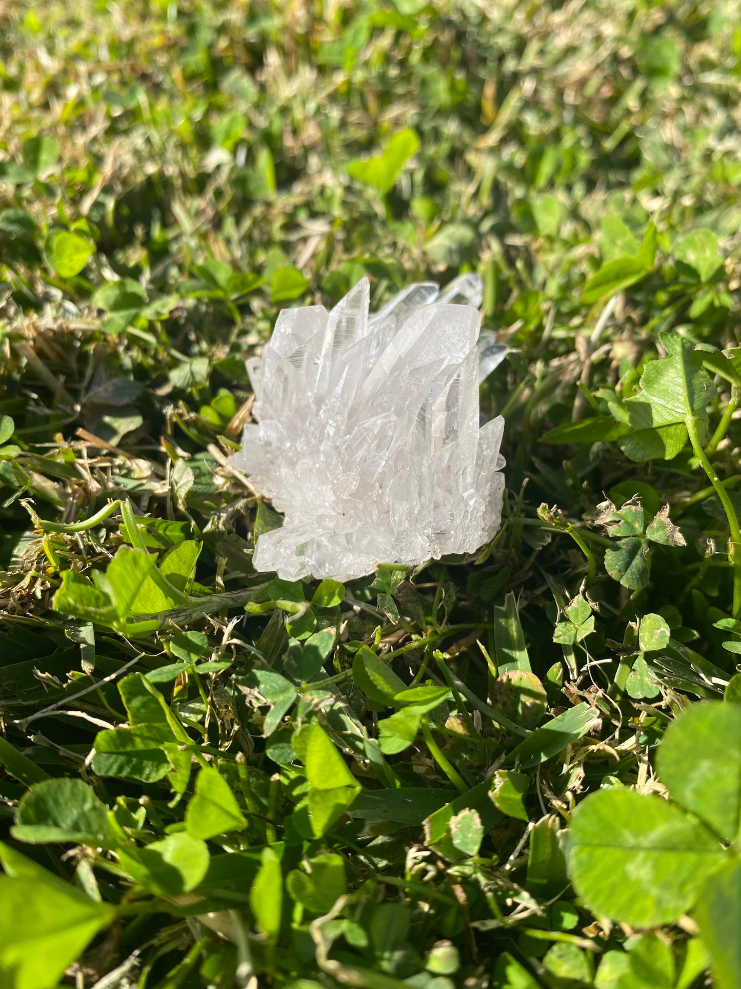 Clear quartz cluster crystal raw Small 45 grams rock specimen mineral Feng Shui crystal shop business Ryde Sydney Australia healing stone