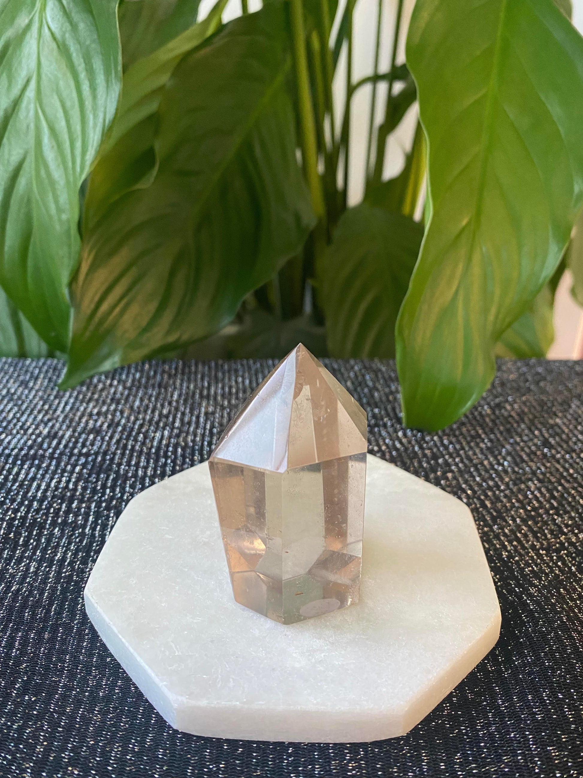 Light colour smoky polished Quartz point generator tower 100 grams 6.0cm Ryde Sydney Australia Crystal shop crystal business