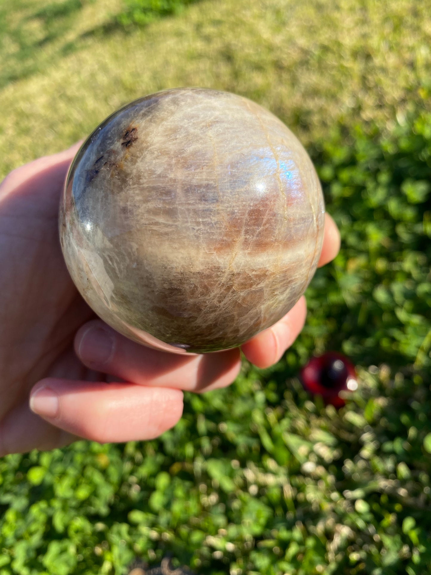 Moonstone polished sphere rock specimen mineral raw Feng Shui crystal shop business Ryde Sydney Australia healing stone