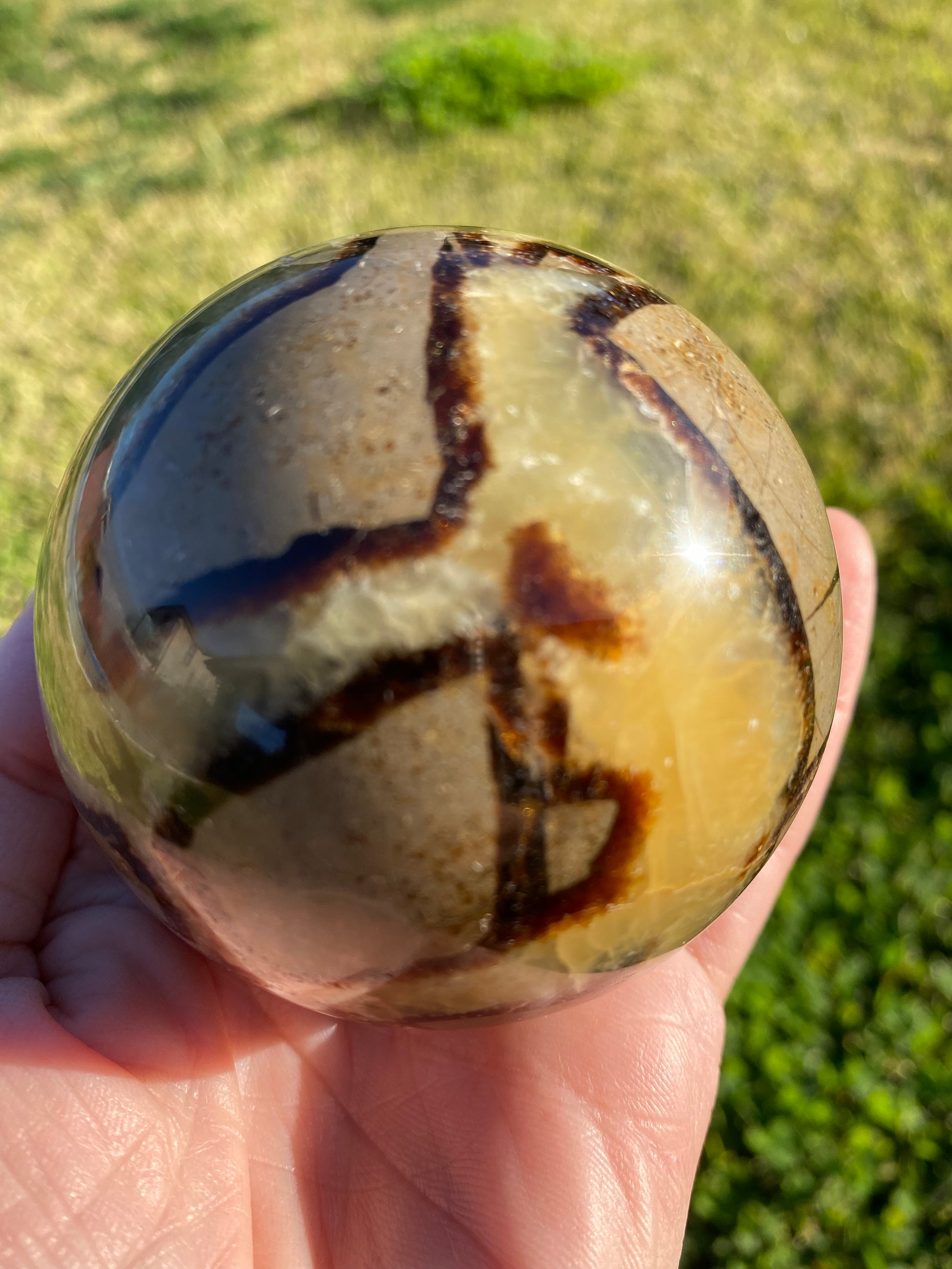 Septarian polished sphere rock specimen mineral raw Feng Shui crystal shop business Ryde Sydney Australia healing stone hand