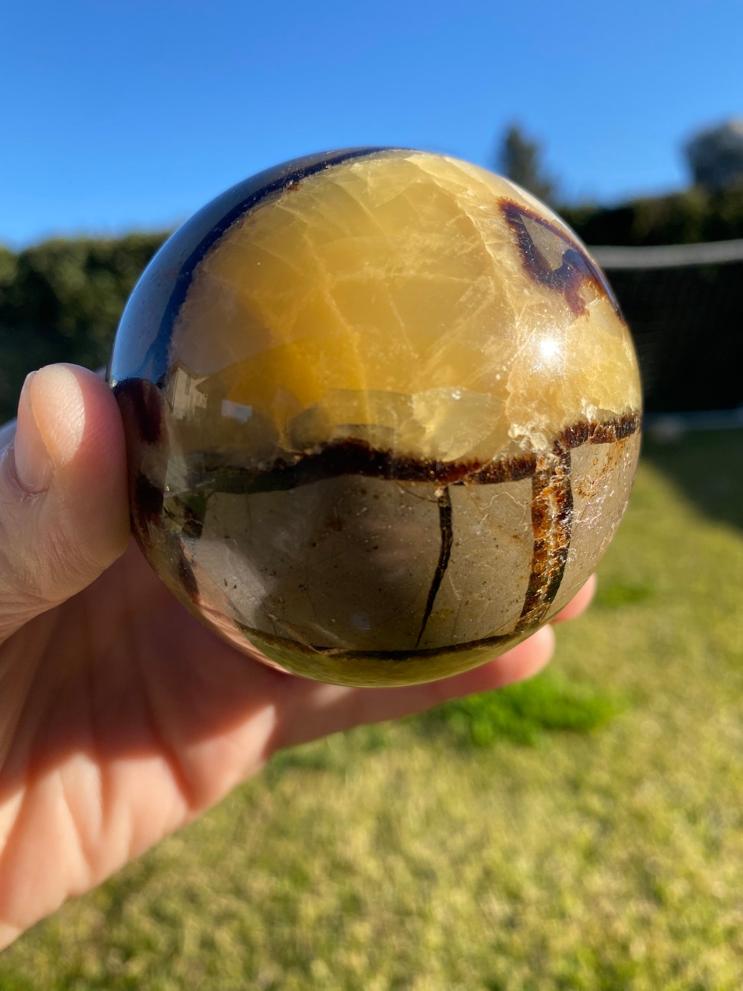 Septarian polished sphere rock specimen mineral raw Feng Shui crystal shop business Ryde Sydney Australia healing stone hand