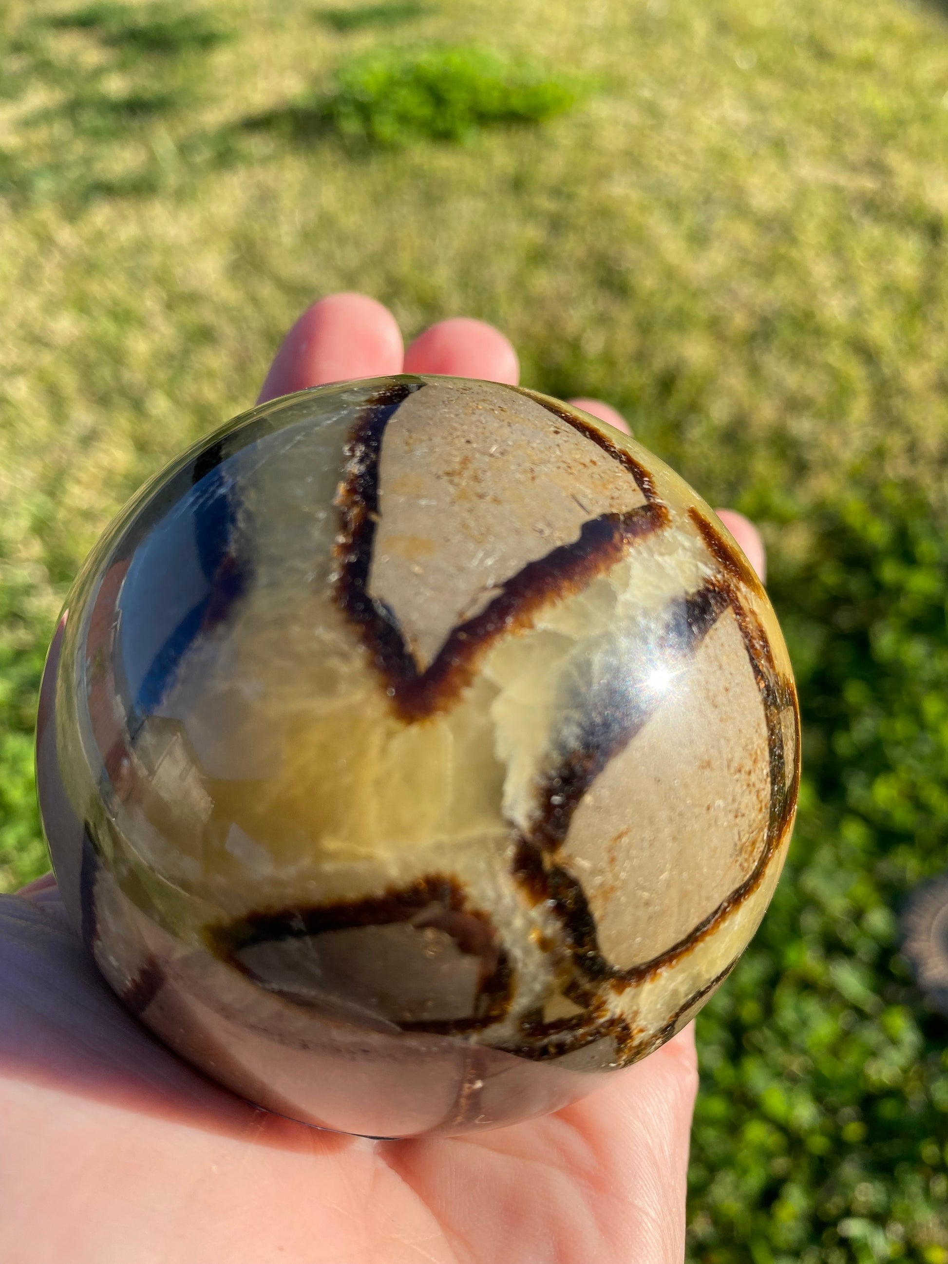 Septarian polished sphere rock specimen mineral raw Feng Shui crystal shop business Ryde Sydney Australia healing stone hand