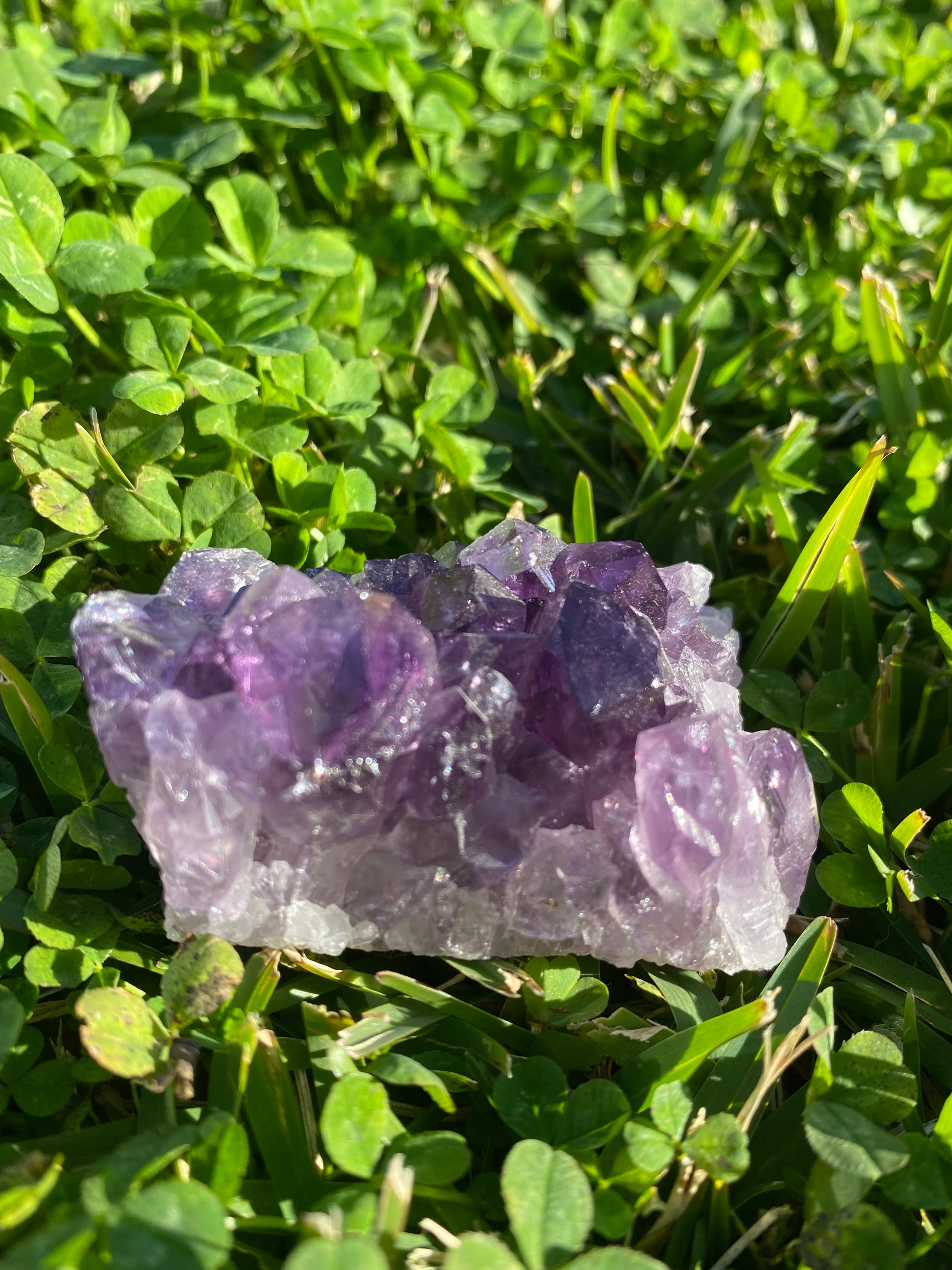 Amethyst cluster clear quartz crystal gemstone geode healing crystal business shop Ryde Chatswood Sydney Australia free gift Feng Shui