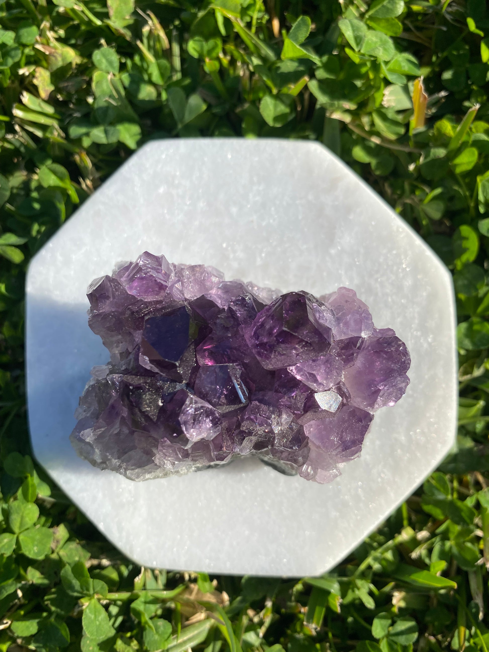 Amethyst cluster clear quartz crystal gemstone geode healing crystal business shop Ryde Chatswood Sydney Australia free gift Feng Shui