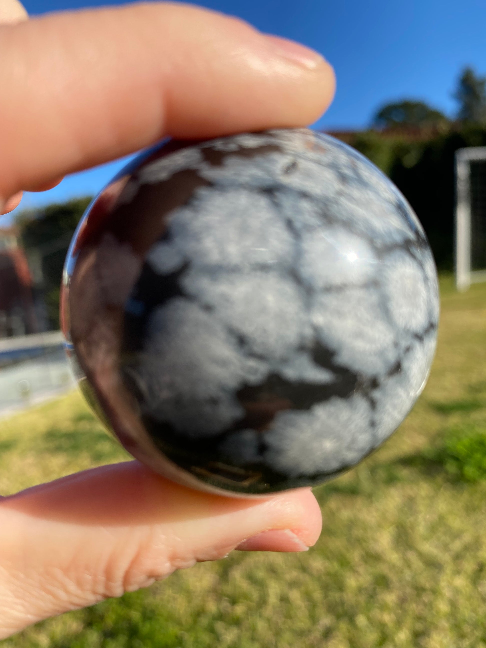 Snowflake obsidian polished sphere rock specimen mineral raw Feng Shui crystal shop business Ryde Sydney Australia healing stone