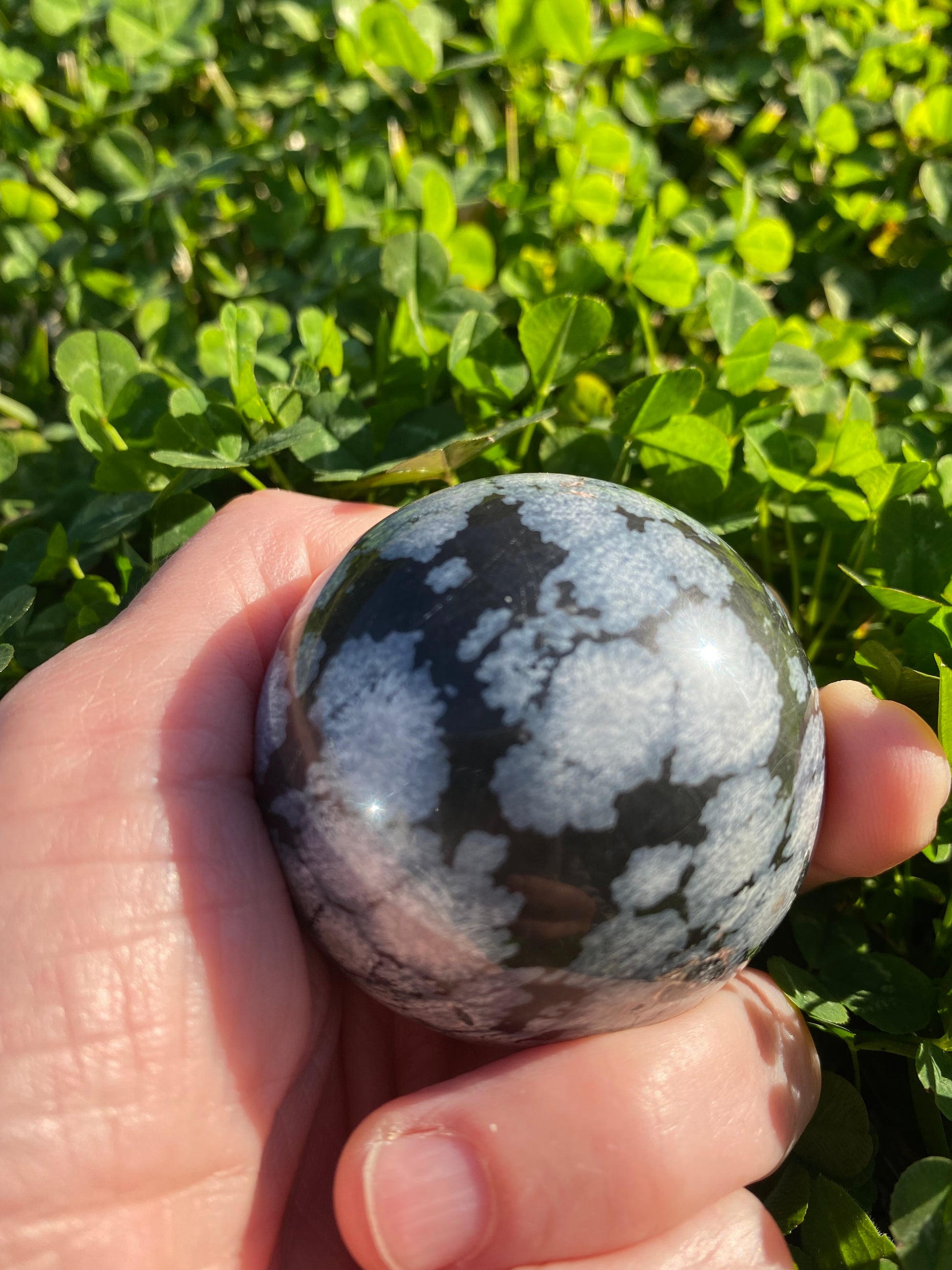 Snowflake obsidian polished sphere rock specimen mineral raw Feng Shui crystal shop business Ryde Sydney Australia healing stone hand