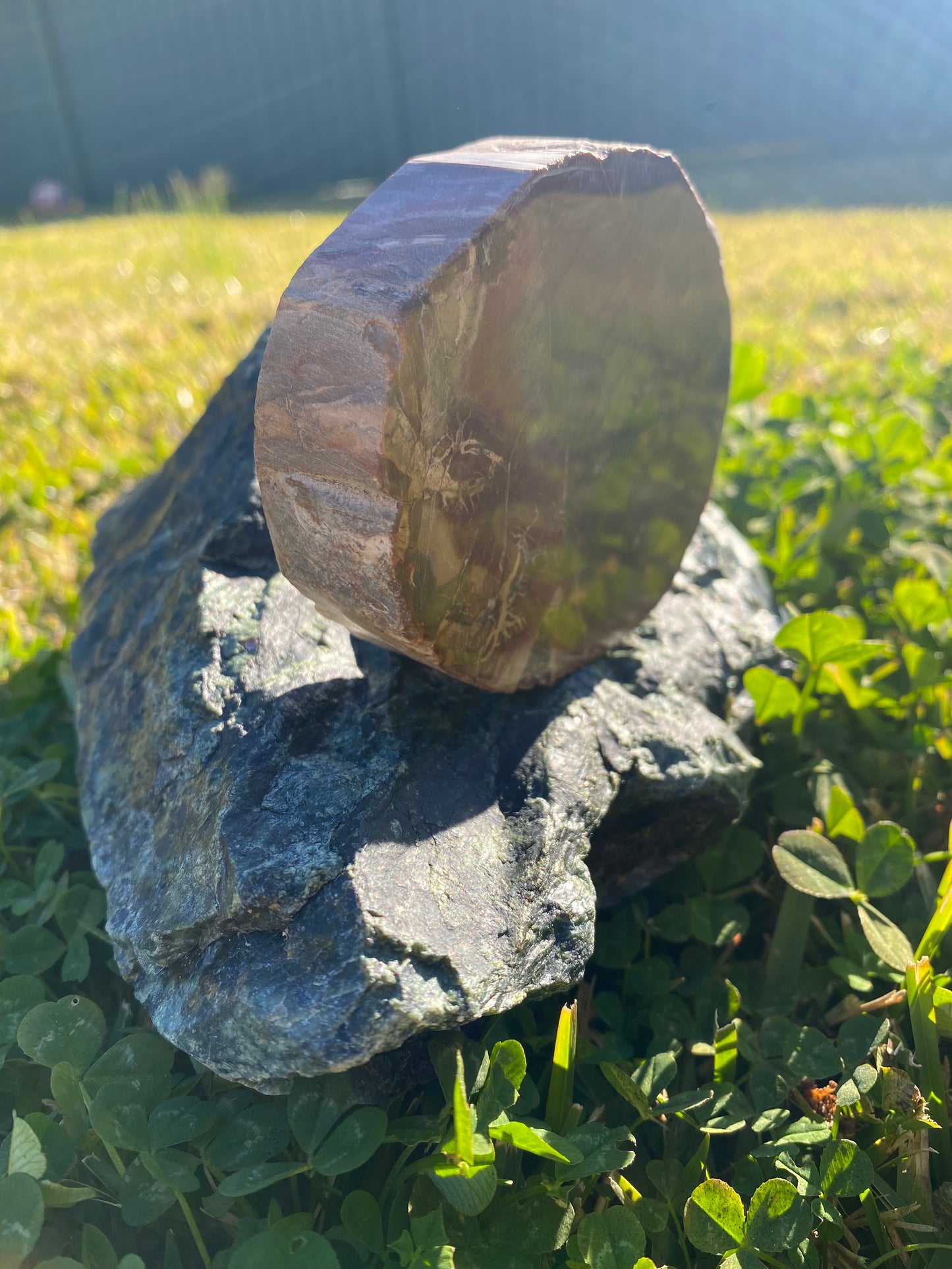 Polished petrified wood fossil slab | 320 grams